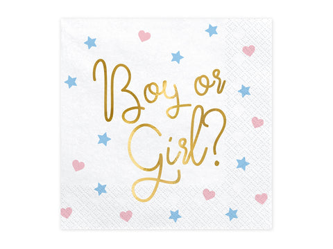 Boy Or Girl Paper Napkins - 20 Pack