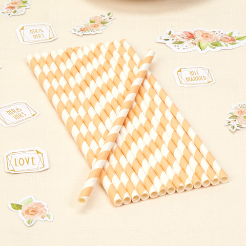 Wholesale Striped Peach Paper Straws - 25 Pack